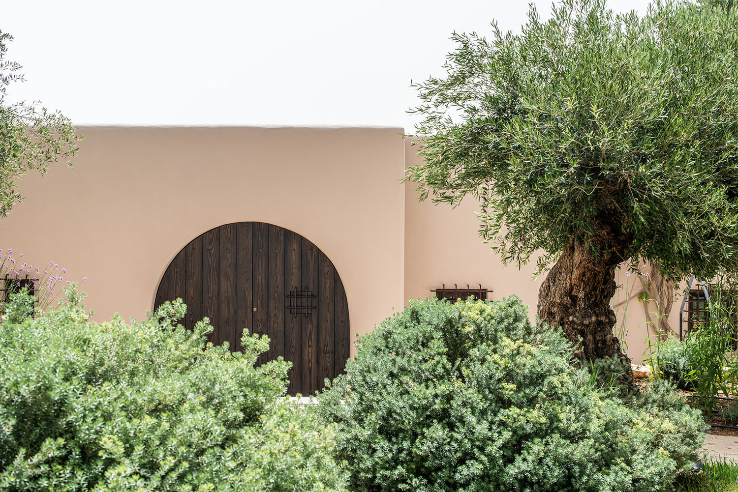 Bloom Studio: Renovating Can Pep