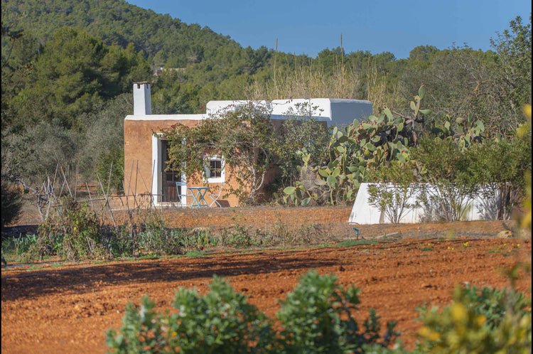 Authentic, secluded, beautiful – country house near Santa Agnes