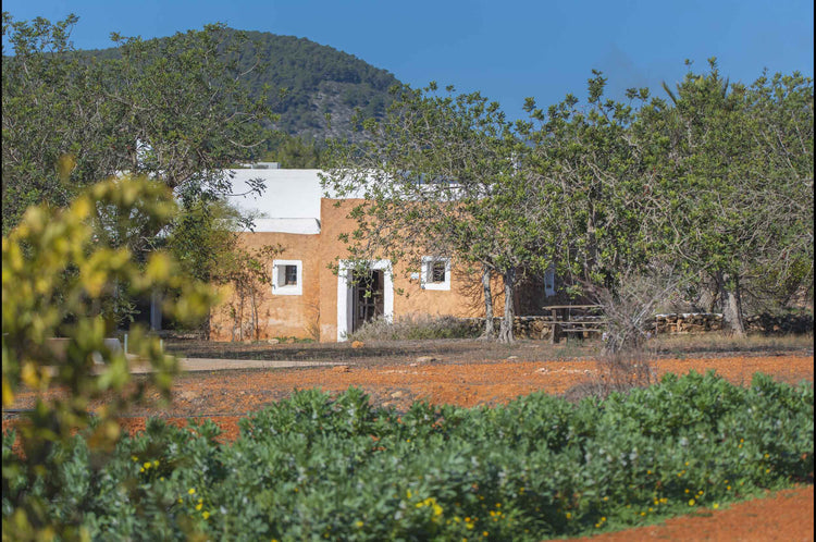 Authentic, secluded, beautiful – country house near Santa Agnes