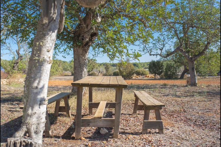 Authentic, secluded, beautiful – country house near Santa Agnes