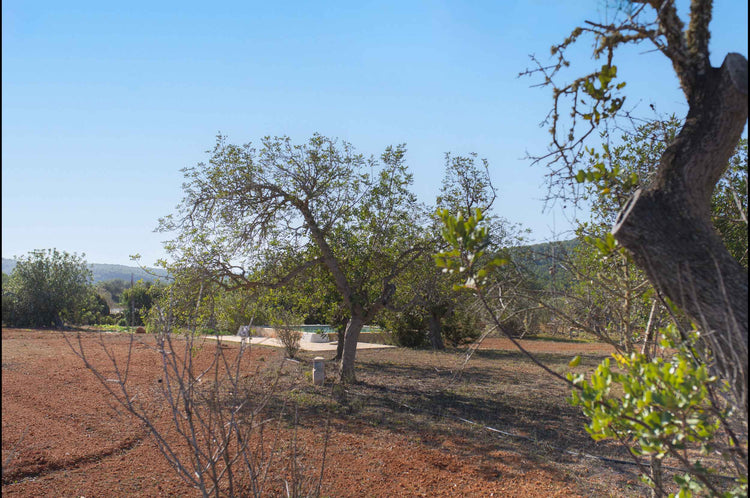 Authentic, secluded, beautiful – country house near Santa Agnes
