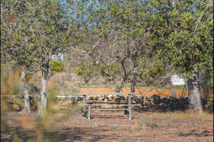 Authentic, secluded, beautiful – country house near Santa Agnes