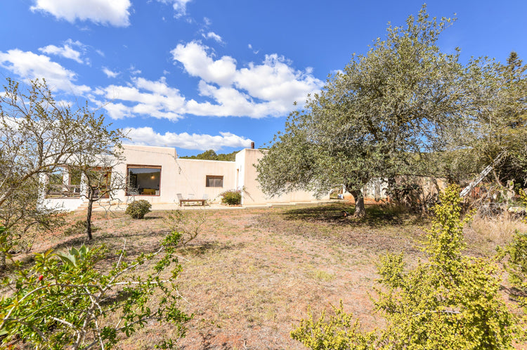 Spacious Finca with 3 Bedrooms and Huge Potential, Santa Gertrudis