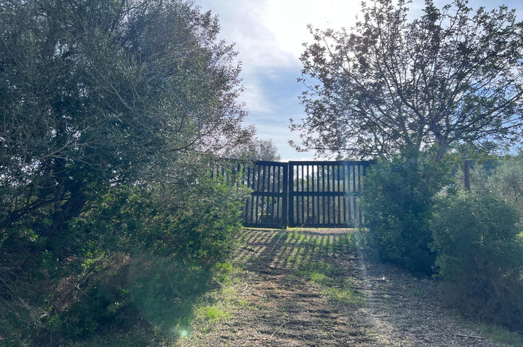 5-Bedroom Blakstad Finca in the Ibiza Countryside