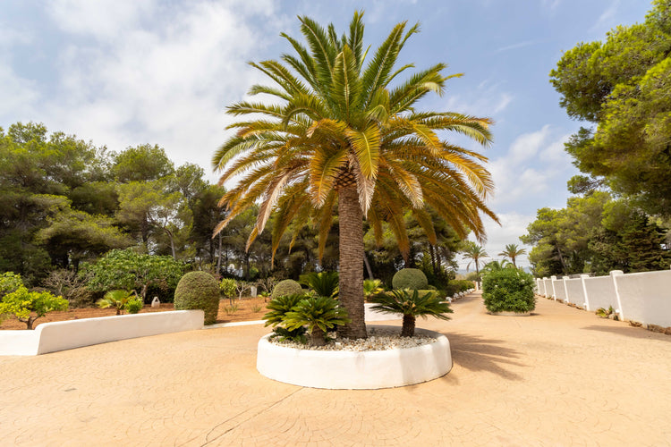 Fabulous Blakstad renovation by the sea near Santa Eulalia