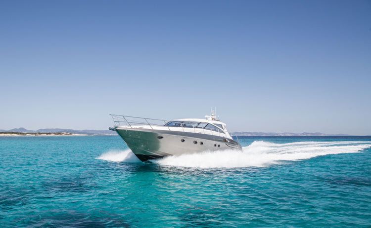 Princess V58