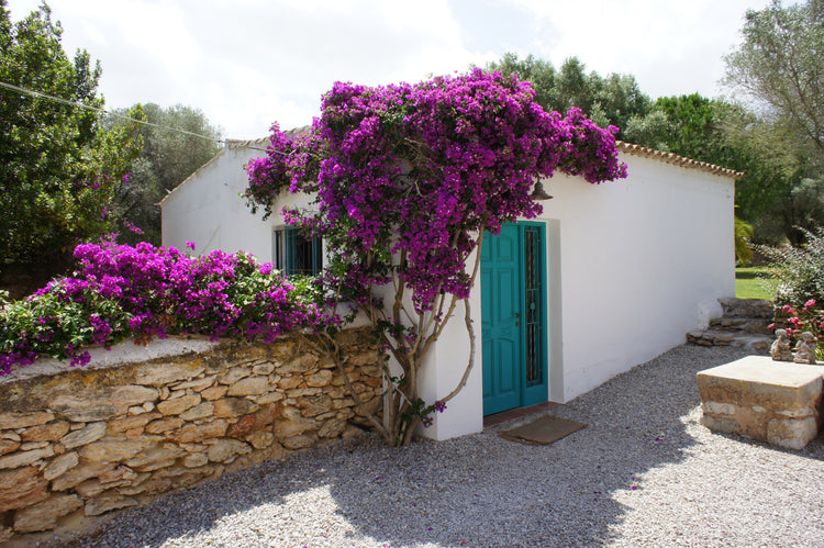 Can Cala