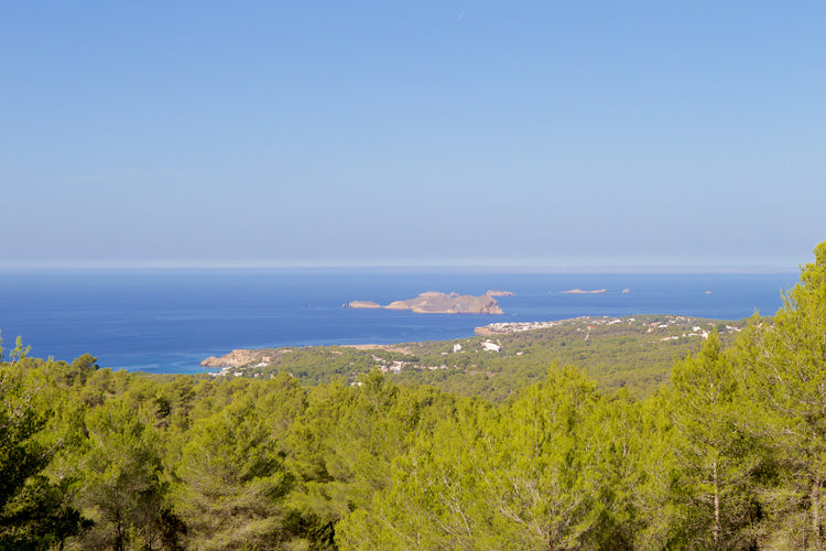 Finca El Pinar