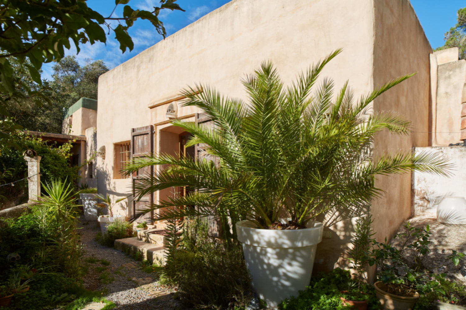 Rare opportunity: historic farmhouse and 258,000sqm of woodland, San Jose