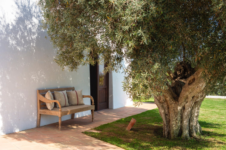 Finca Los Alamos