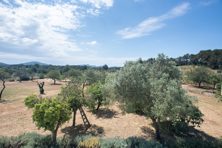 Casa Pascal