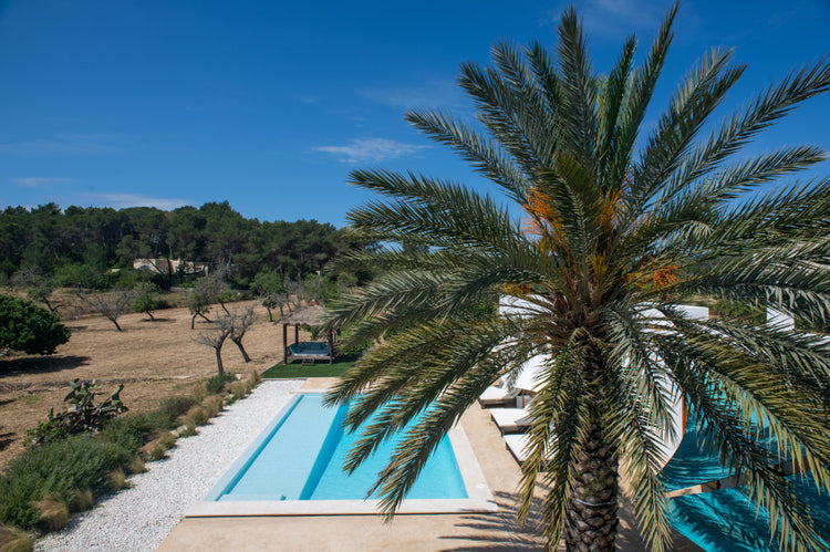 Casa Pascal