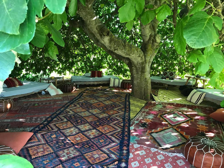 Finca Los Olivos