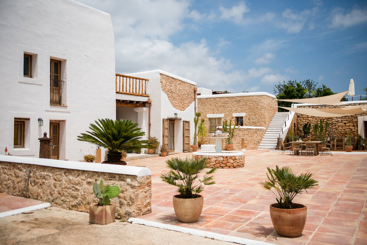 Finca Los Olivos