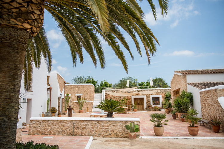 Finca Los Olivos