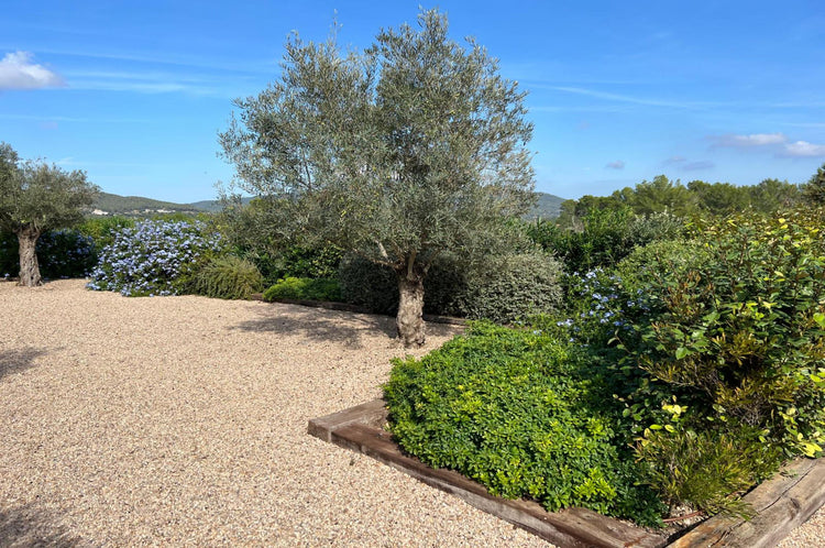 5-Bedroom Blakstad Finca in the Ibiza Countryside