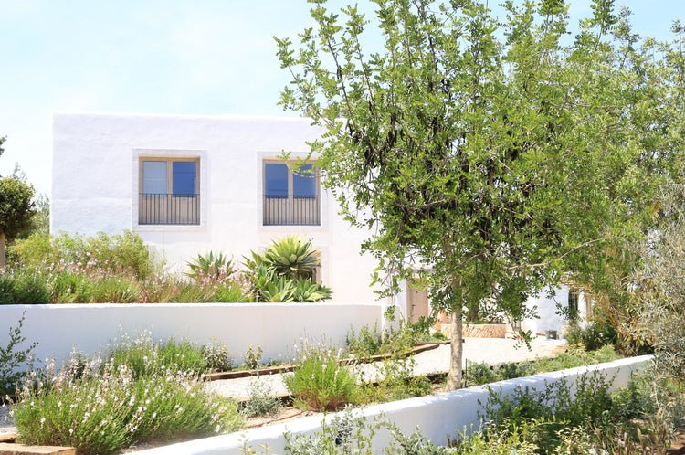 5-Bedroom Blakstad Finca in the Ibiza Countryside