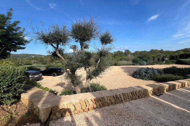 5-Bedroom Blakstad Finca in the Ibiza Countryside
