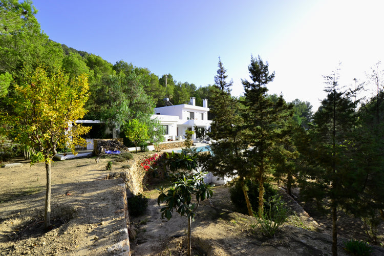 Finca El Pinar